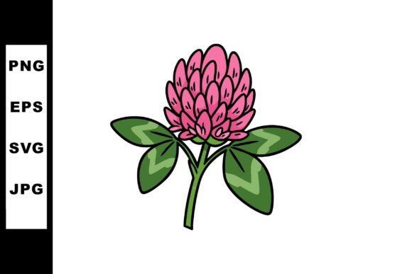 Download Clover Flower with Pink Petals and Green - Petals Collection