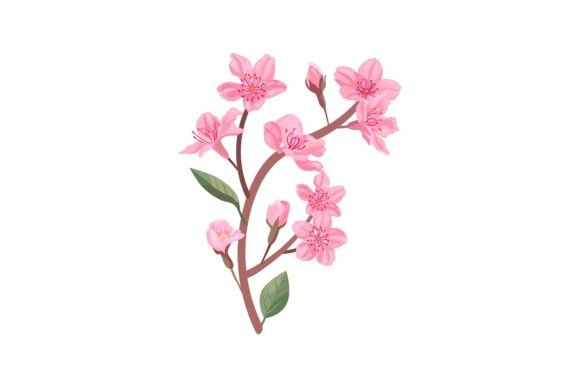Download Flowers Petals, Cherry or Peach Tree Bra - Petals Collection